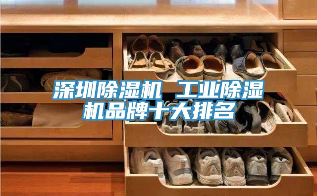 深圳除濕機 工業(yè)除濕機品牌十大排名