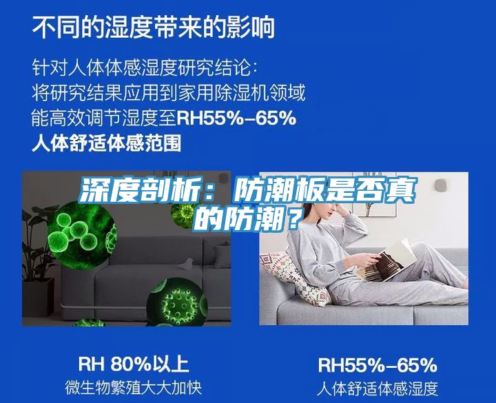 深度剖析：防潮板是否真的防潮？