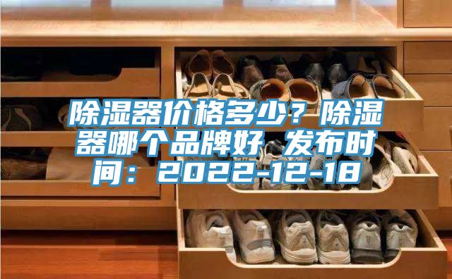 除濕器價格多少？除濕器哪個品牌好 發(fā)布時間：2022-12-18