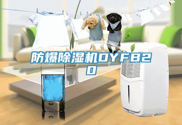 防爆除濕機(jī)DYFB20