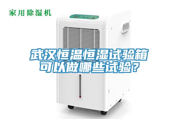 武漢恒溫恒濕試驗(yàn)箱可以做哪些試驗(yàn)？