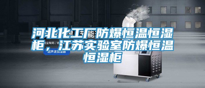 河北化工廠防爆恒溫恒濕柜，江蘇實(shí)驗(yàn)室防爆恒溫恒濕柜