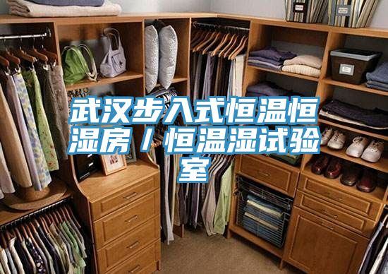 武漢步入式恒溫恒濕房／恒溫濕試驗(yàn)室