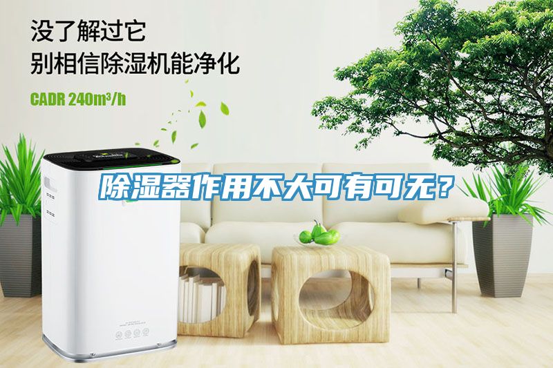 除濕器作用不大可有可無？