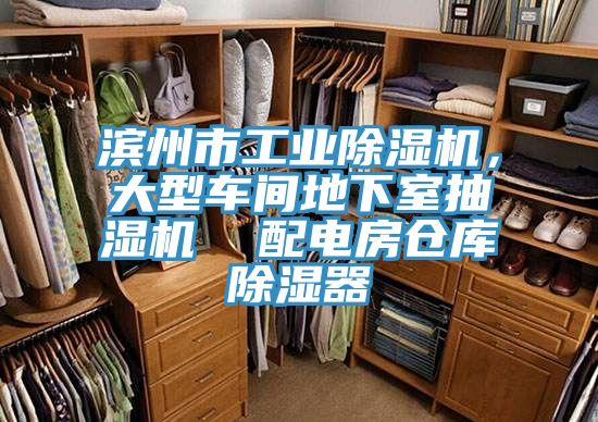 濱州市工業(yè)除濕機，大型車間地下室抽濕機  配電房倉庫除濕器