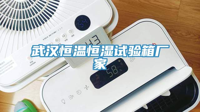 武漢恒溫恒濕試驗(yàn)箱廠(chǎng)家