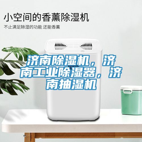 濟南除濕機，濟南工業(yè)除濕器，濟南抽濕機