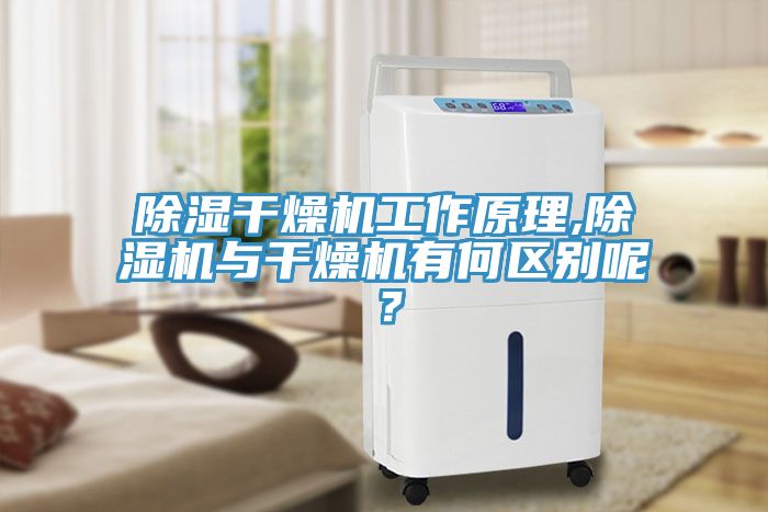 除濕干燥機工作原理,除濕機與干燥機有何區(qū)別呢？