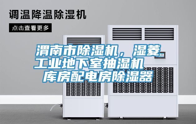 渭南市除濕機(jī)，濕菱工業(yè)地下室抽濕機(jī)  庫(kù)房配電房除濕器