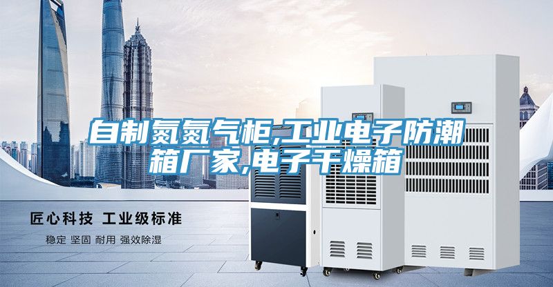 自制氮氮?dú)夤?工業(yè)電子防潮箱廠家,電子干燥箱