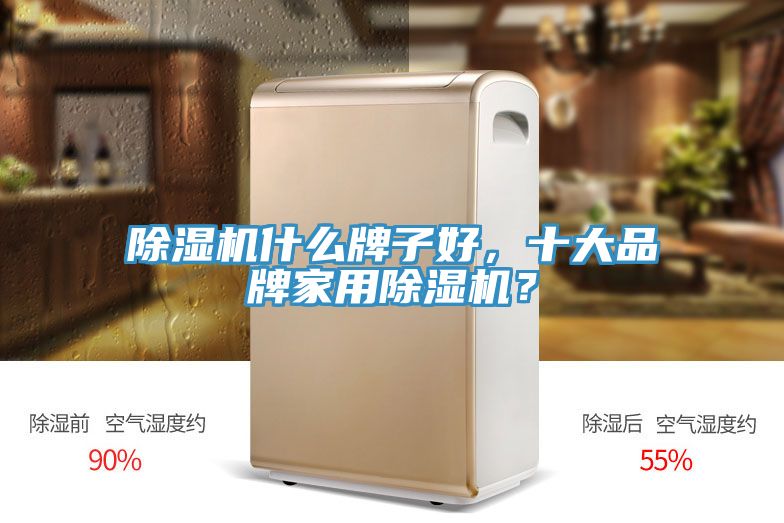 除濕機(jī)什么牌子好，十大品牌家用除濕機(jī)？