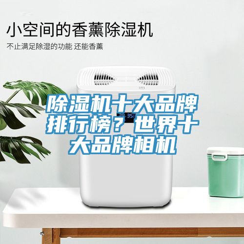 除濕機(jī)十大品牌排行榜？世界十大品牌相機(jī)