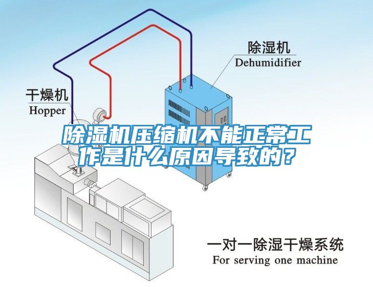 除濕機壓縮機不能正常工作是什么原因?qū)е碌模?/></p>
                            <p style=