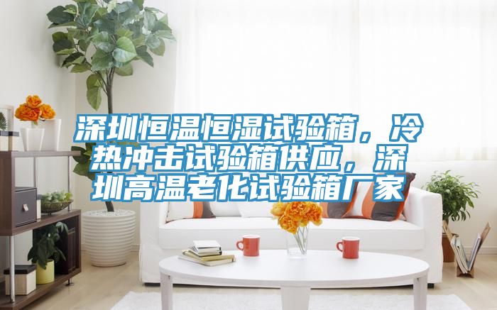 深圳恒溫恒濕試驗箱，冷熱沖擊試驗箱供應(yīng)，深圳高溫老化試驗箱廠家