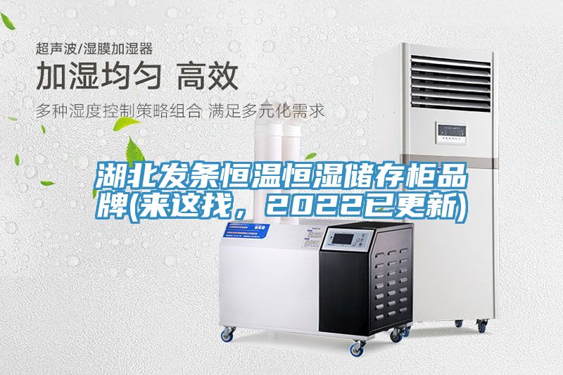 湖北發(fā)條恒溫恒濕儲存柜品牌(來這找，2022已更新)