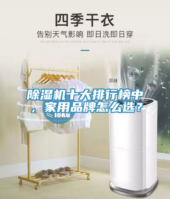 除濕機(jī)十大排行榜中，家用品牌怎么選？