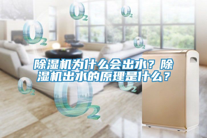 除濕機為什么會出水？除濕機出水的原理是什么？