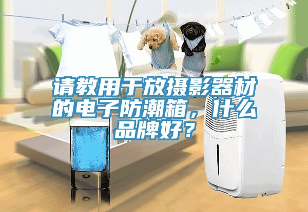 請教用于放攝影器材的電子防潮箱，什么品牌好？