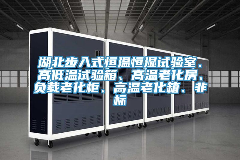 湖北步入式恒溫恒濕試驗(yàn)室、高低溫試驗(yàn)箱、高溫老化房、負(fù)載老化柜、高溫老化箱、非標(biāo)