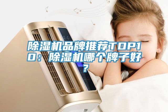 除濕機品牌推薦TOP10：除濕機哪個牌子好？