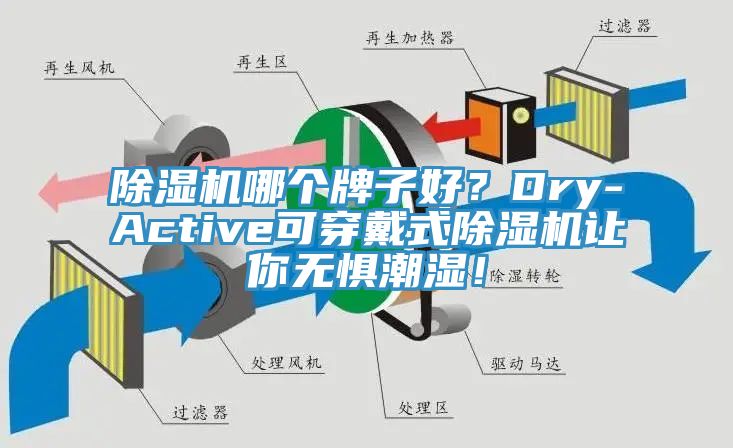 除濕機哪個牌子好？Dry-Active可穿戴式除濕機讓你無懼潮濕！