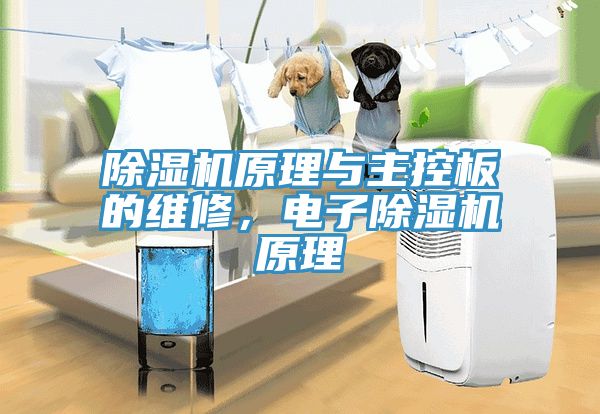 除濕機(jī)原理與主控板的維修，電子除濕機(jī)原理