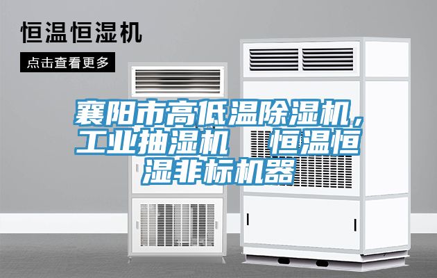 襄陽市高低溫除濕機，工業(yè)抽濕機  恒溫恒濕非標機器