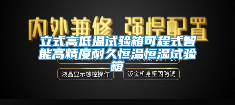 立式高低溫試驗(yàn)箱可程式智能高精度耐久恒溫恒濕試驗(yàn)箱