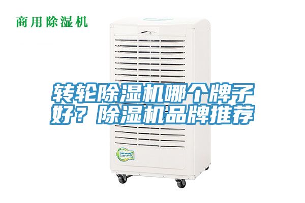 轉輪除濕機哪個牌子好？除濕機品牌推薦