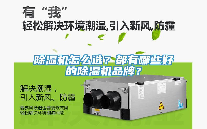 除濕機怎么選？都有哪些好的除濕機品牌？