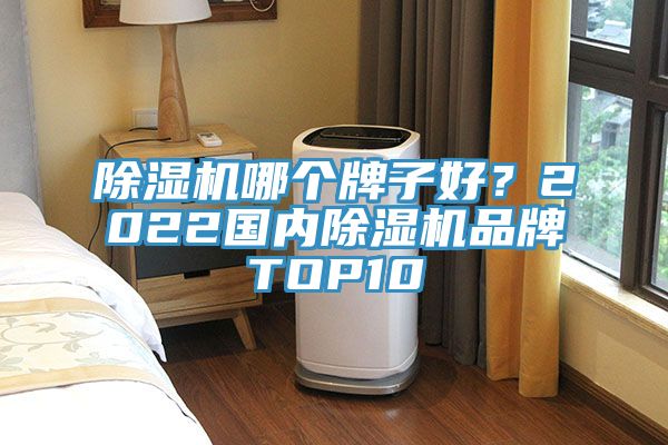 除濕機哪個牌子好？2022國內(nèi)除濕機品牌TOP10