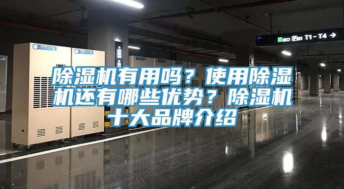 除濕機有用嗎？使用除濕機還有哪些優(yōu)勢？除濕機十大品牌介紹