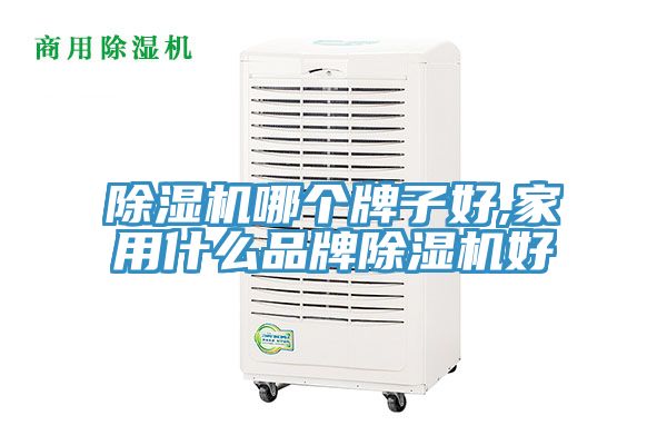 除濕機(jī)哪個(gè)牌子好,家用什么品牌除濕機(jī)好