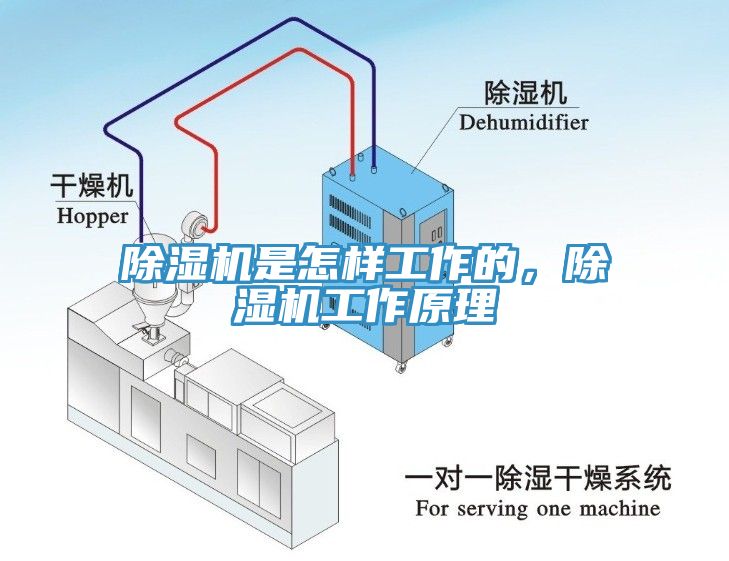 除濕機是怎樣工作的，除濕機工作原理