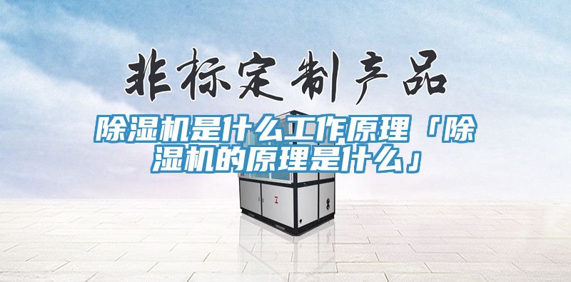 除濕機(jī)是什么工作原理「除濕機(jī)的原理是什么」