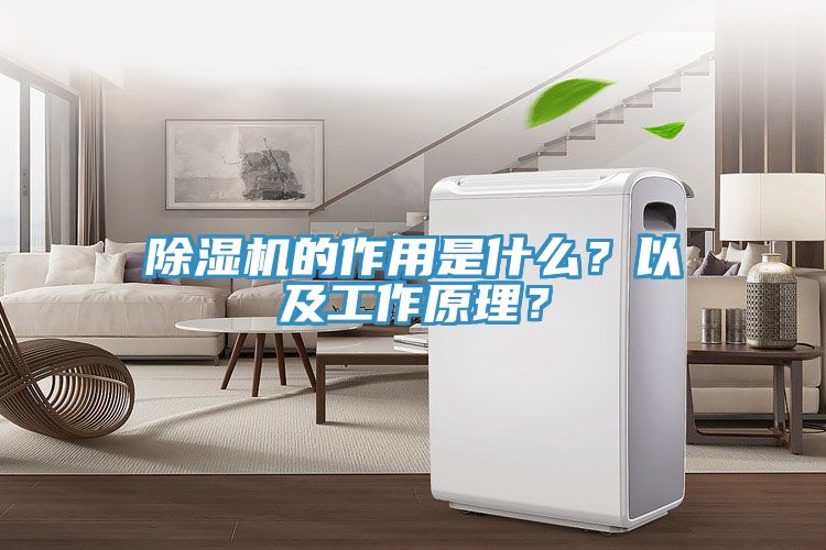 除濕機的作用是什么？以及工作原理？