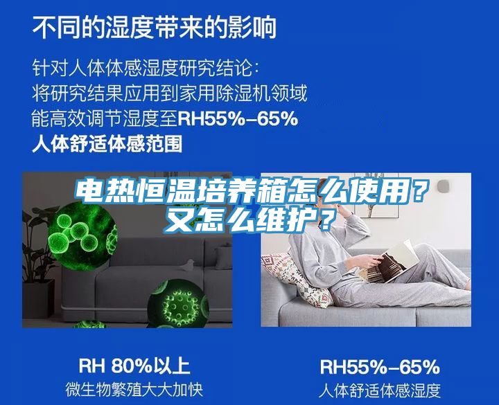 電熱恒溫培養(yǎng)箱怎么使用？又怎么維護？