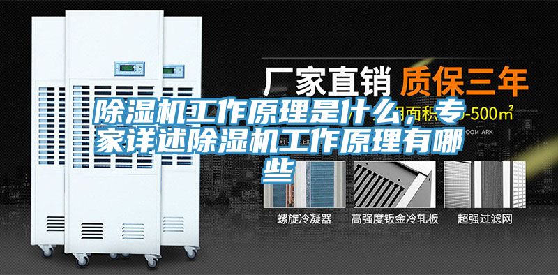 除濕機工作原理是什么，專家詳述除濕機工作原理有哪些