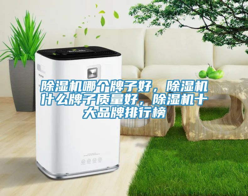 除濕機哪個牌子好，除濕機什么牌子質(zhì)量好，除濕機十大品牌排行榜