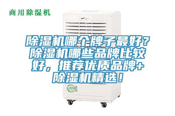 除濕機哪個牌子最好？除濕機哪些品牌比較好，推薦優(yōu)質品牌+除濕機精選！