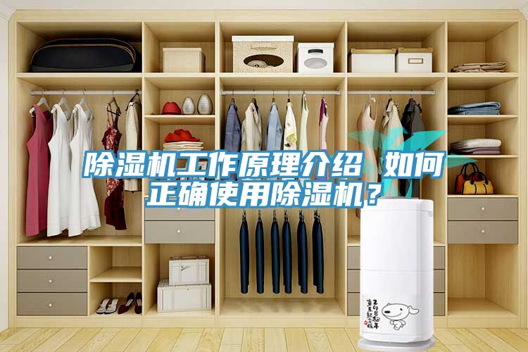 除濕機工作原理介紹 如何正確使用除濕機？