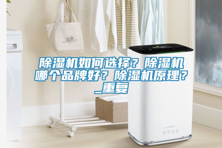 除濕機如何選擇？除濕機哪個品牌好？除濕機原理？_重復