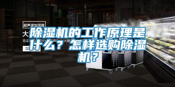 除濕機(jī)的工作原理是什么？怎樣選購(gòu)除濕機(jī)？