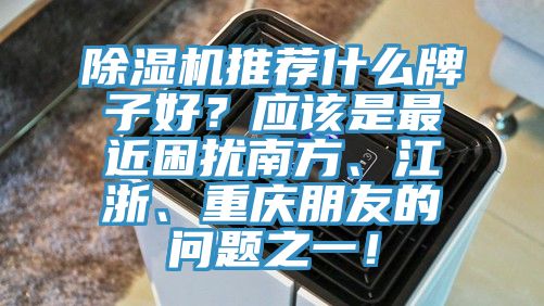 除濕機推薦什么牌子好？應該是最近困擾南方、江浙、重慶朋友的問題之一！