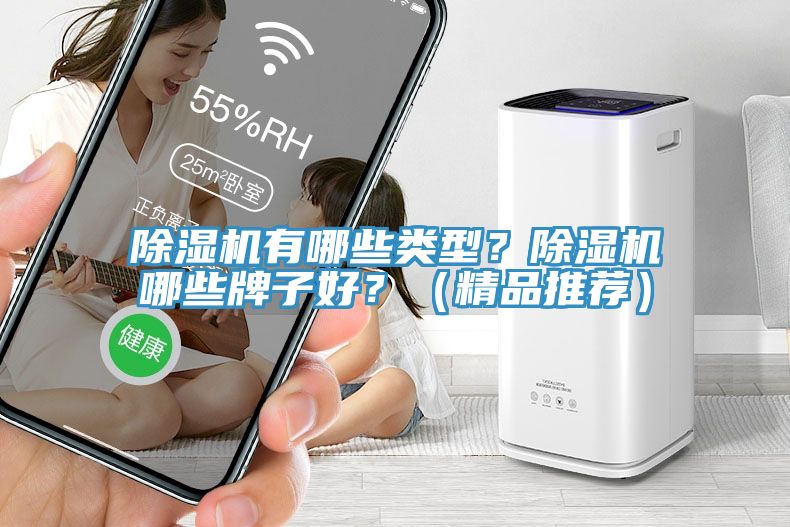 除濕機有哪些類型？除濕機哪些牌子好？（精品推薦）